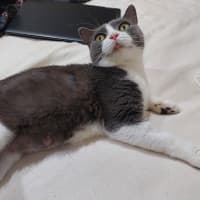 Photo of Margot