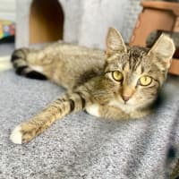 Photo of Nikki