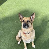 Photo of Momo