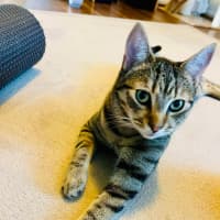 Photo of Ferris & Felix