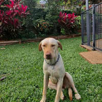 Photo of Bingo