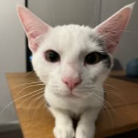 Photo of Mr Biscuits