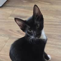 Photo of Wally