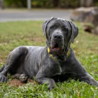 Photo of Zeus