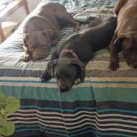 Photo of Crash