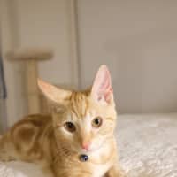 Photo of Winston
