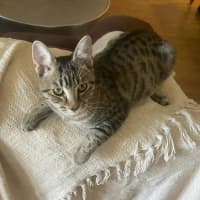 Photo of Tommy