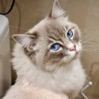 Photo of Zoe