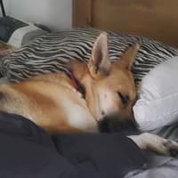 Photo of Angel