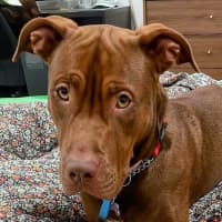 Photo of Coco