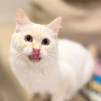Photo of Dorian