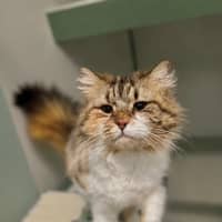 Photo of Freya