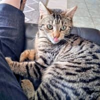 Photo of Titch
