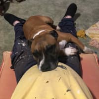 Photo of Zeus 