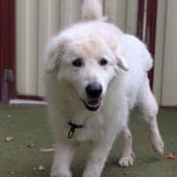 Photo of Zeus