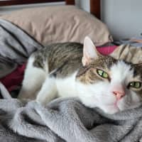 Photo of Molly / Milly