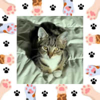 Photo of Gert