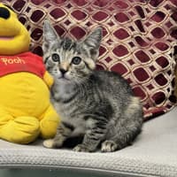 Photo of Winnie 