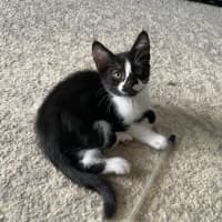 Photo of Dakota
