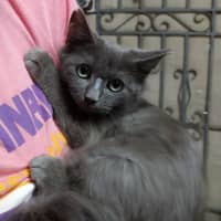 Photo of Mister