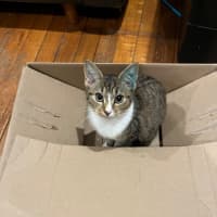 Photo of Mina