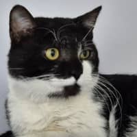 Photo of Simon