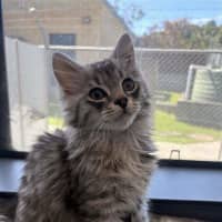 Photo of Milo