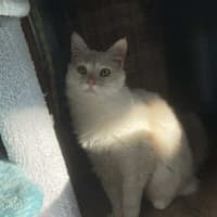 Photo of Mr Wimberley 