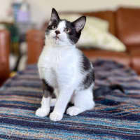 Photo of Marra   Meet Me At Vets On Parker