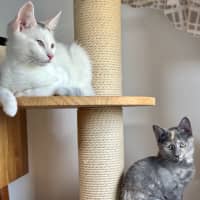 Photo of Bernie   Located In Bellfield