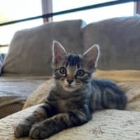 Photo of Taylah