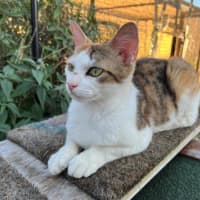 Photo of Hazel Moriarty