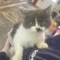 Photo of Marmite