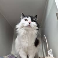 Photo of Sally