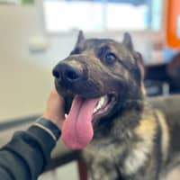 Photo of Duke