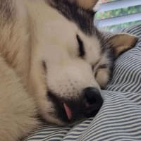 Photo of Ghost & Mirri