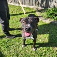 Photo of Billy   64074