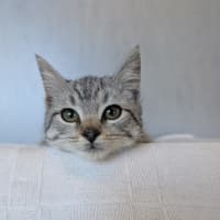 Photo of Timothy 
