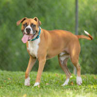 Photo of Bucky