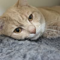 Photo of 🥞 Rupert 5644 🥞