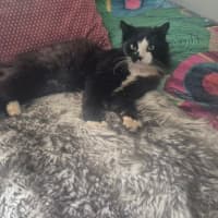 Photo of Cain (0004)