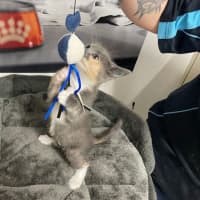 Photo of Peep