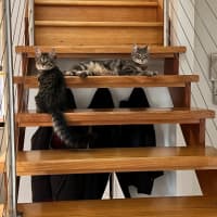 Photo of Lexi & Cara