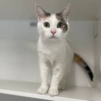 Photo of Sammi