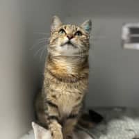 Photo of Cleo