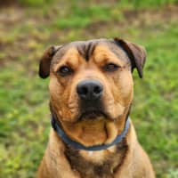 Photo of 👑 King 6259 👑