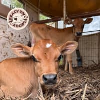 Photo of Darby & Elliot