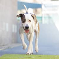 Photo of Roxy