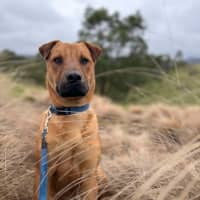 Photo of Axel