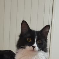 Photo of Winnie 
